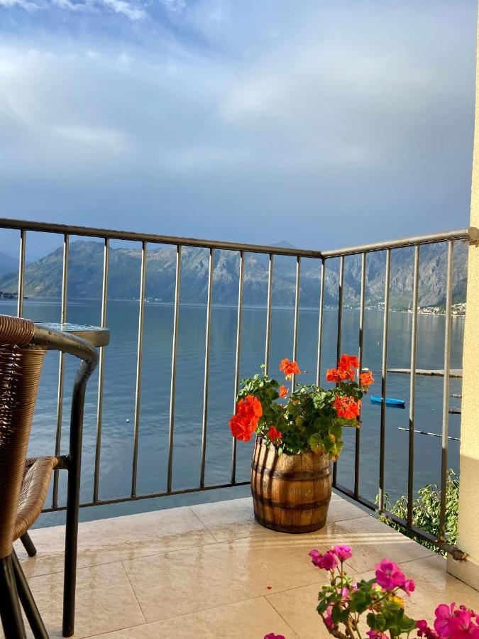 Apartment Ivanisevic 2 كوتور المظهر الخارجي الصورة